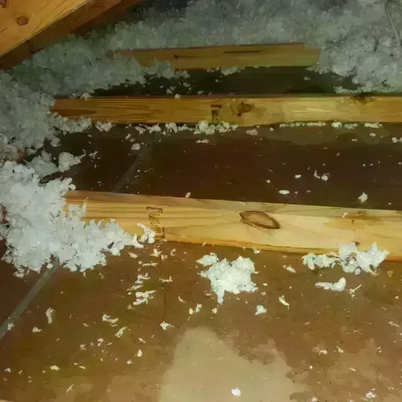 Attic Water Damage in Lincoln Park, NY